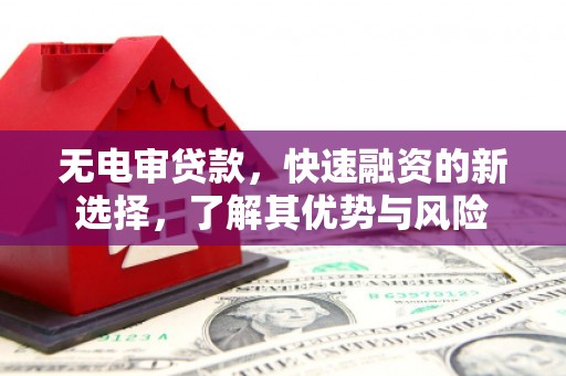 龙山无电审贷款，快速融资的新选择，了解其优势与风险