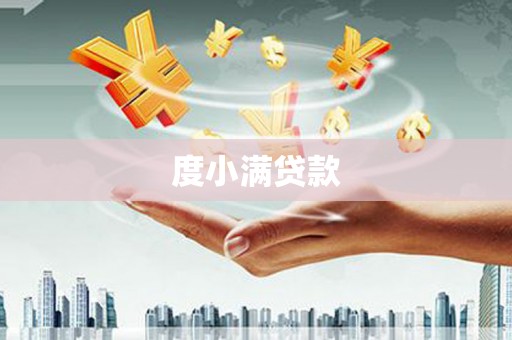 龙山度小满贷款