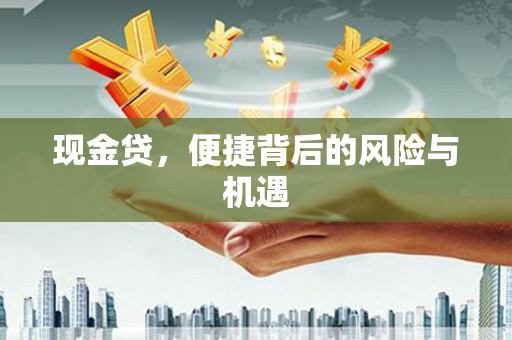 龙山现金贷，便捷背后的风险与机遇