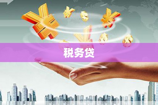 龙山税务贷