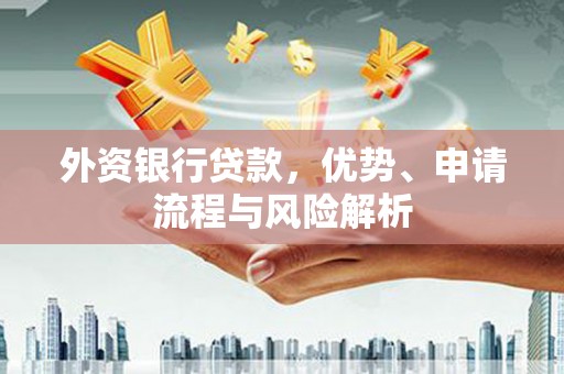 龙山外资银行贷款，优势、申请流程与风险解析