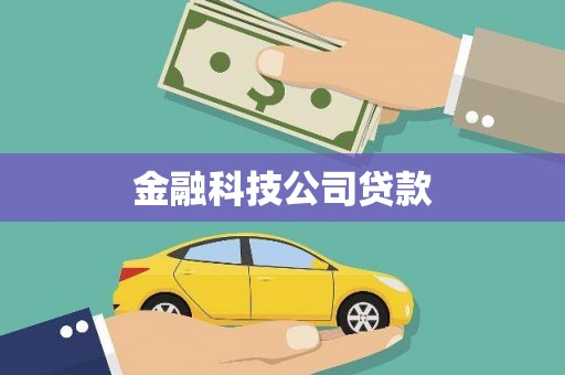 龙山金融科技公司贷款