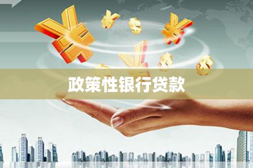 龙山政策性银行贷款