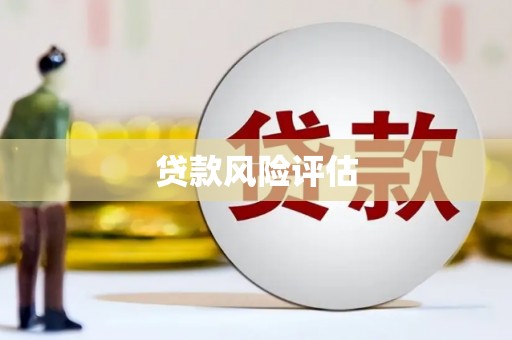龙山贷款风险评估