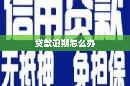 龙山贷款逾期怎么办