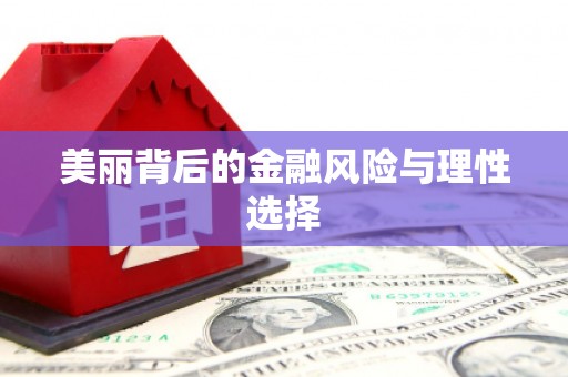 龙山美丽背后的金融风险与理性选择