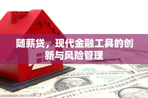 龙山随薪贷，现代金融工具的创新与风险管理