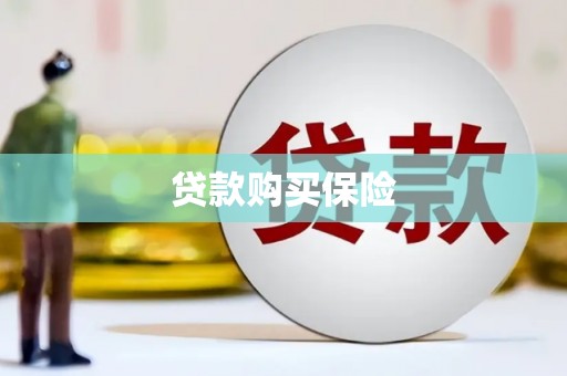 龙山贷款购买保险