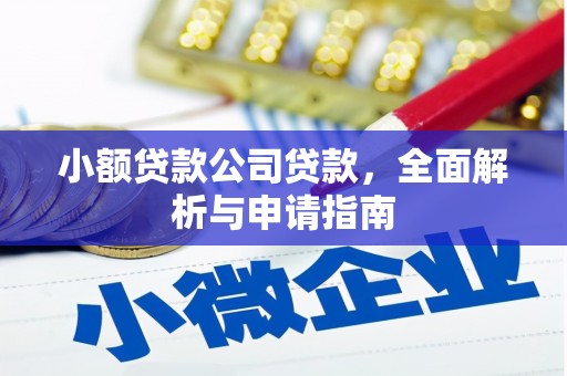 龙山小额贷款公司贷款，全面解析与申请指南