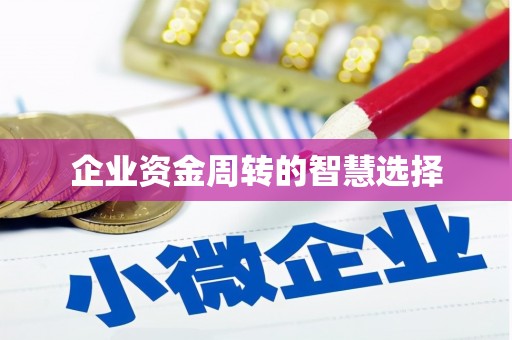 龙山企业资金周转的智慧选择