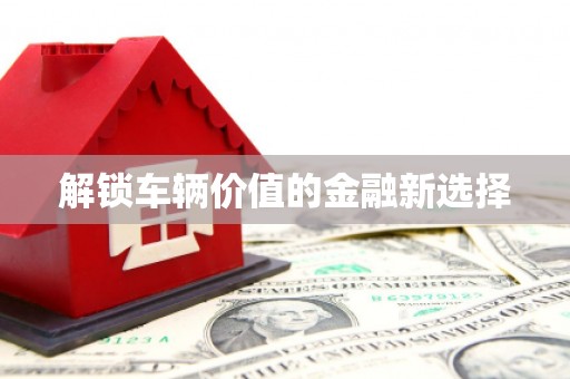 龙山解锁车辆价值的金融新选择