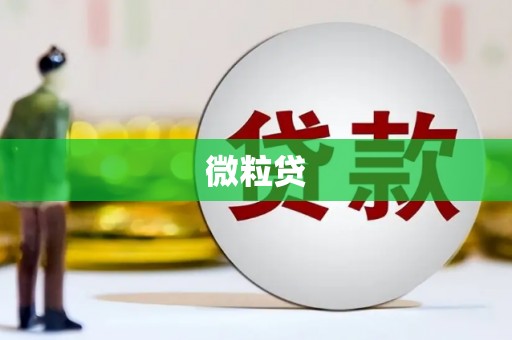 龙山微粒贷