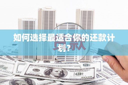龙山如何选择最适合你的还款计划？