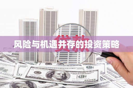 龙山风险与机遇并存的投资策略