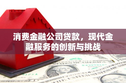龙山消费金融公司贷款，现代金融服务的创新与挑战
