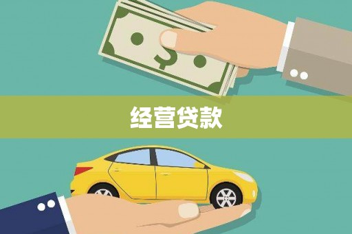 龙山经营贷款