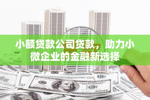 龙山小额贷款公司贷款，助力小微企业的金融新选择