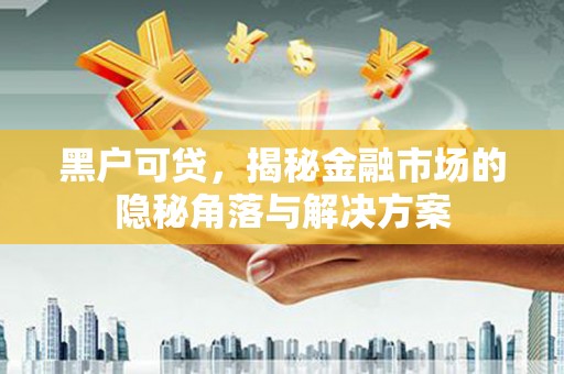 龙山黑户可贷，揭秘金融市场的隐秘角落与解决方案