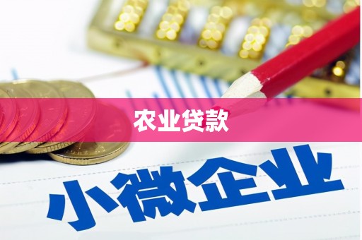 龙山农业贷款