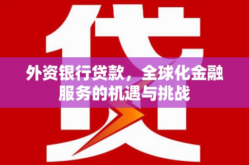 龙山外资银行贷款，全球化金融服务的机遇与挑战