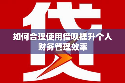 龙山如何合理使用借呗提升个人财务管理效率