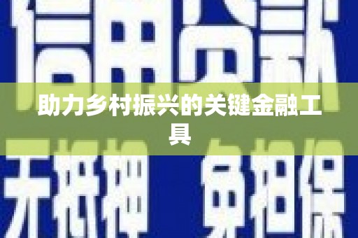 龙山助力乡村振兴的关键金融工具