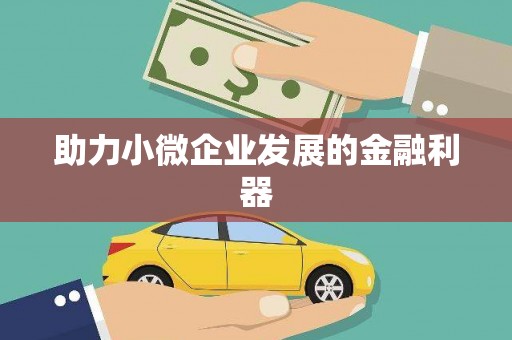 龙山助力小微企业发展的金融利器