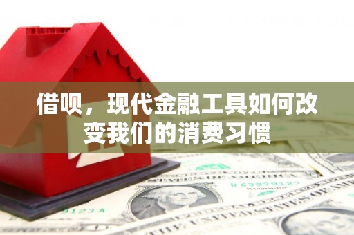 龙山借呗，现代金融工具如何改变我们的消费习惯