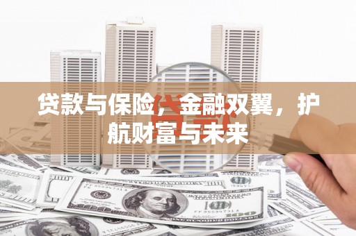 龙山贷款与保险，金融双翼，护航财富与未来