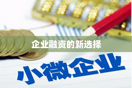 龙山企业融资的新选择