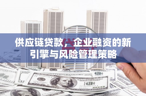 龙山供应链贷款，企业融资的新引擎与风险管理策略