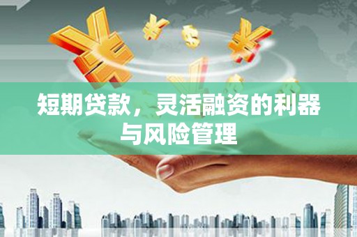 龙山短期贷款，灵活融资的利器与风险管理