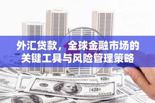 龙山外汇贷款，全球金融市场的关键工具与风险管理策略