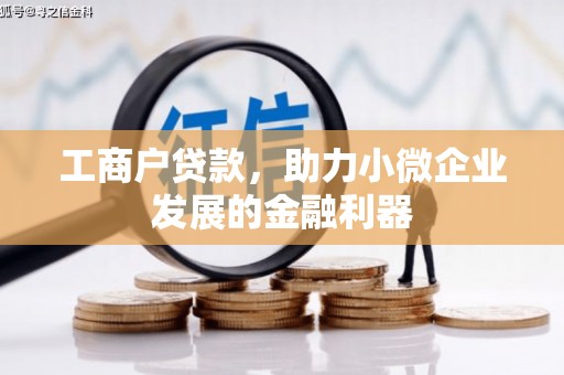 龙山工商户贷款，助力小微企业发展的金融利器