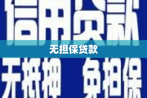 龙山无担保贷款