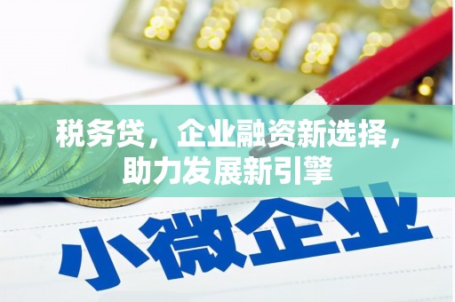 龙山税务贷，企业融资新选择，助力发展新引擎
