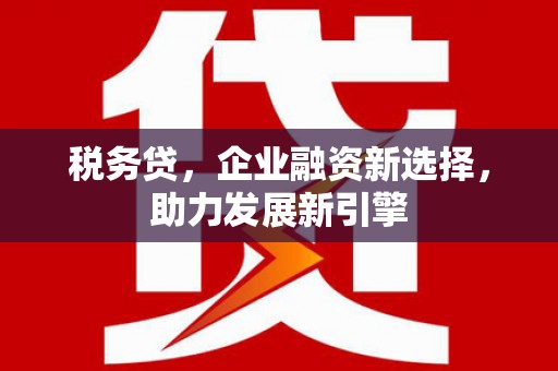龙山税务贷，企业融资新选择，助力发展新引擎