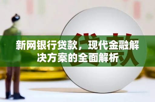 龙山新网银行贷款，现代金融解决方案的全面解析