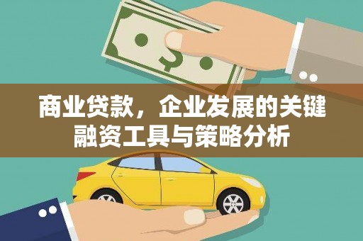龙山商业贷款，企业发展的关键融资工具与策略分析