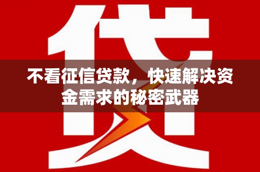 龙山不看征信贷款，快速解决资金需求的秘密武器