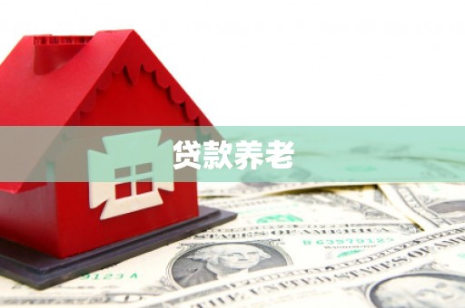龙山贷款养老