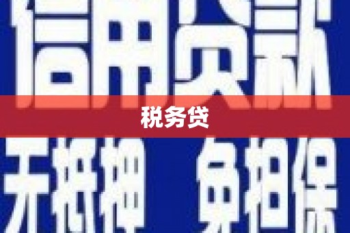 龙山税务贷