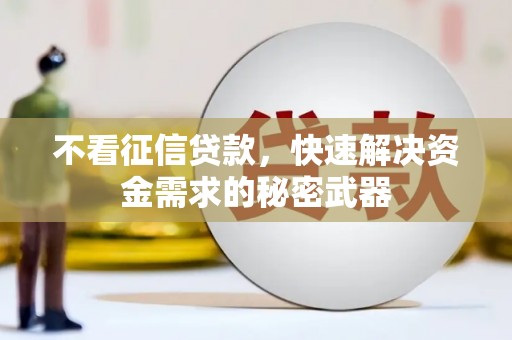 龙山不看征信贷款，快速解决资金需求的秘密武器