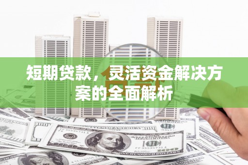 龙山短期贷款，灵活资金解决方案的全面解析