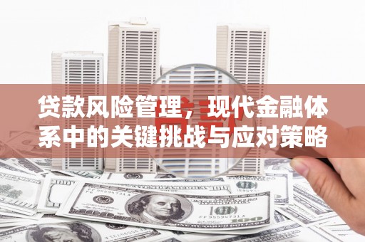 龙山贷款风险管理，现代金融体系中的关键挑战与应对策略
