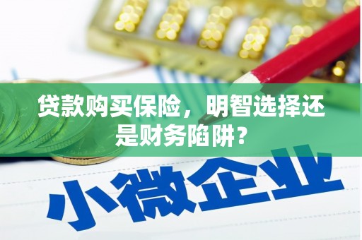 龙山贷款购买保险，明智选择还是财务陷阱？