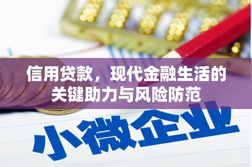 龙山信用贷款，现代金融生活的关键助力与风险防范