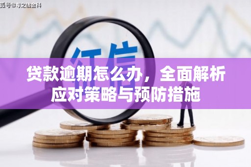 龙山贷款逾期怎么办，全面解析应对策略与预防措施