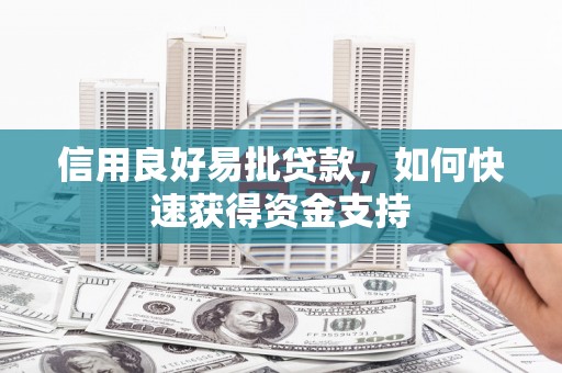 龙山信用良好易批贷款，如何快速获得资金支持