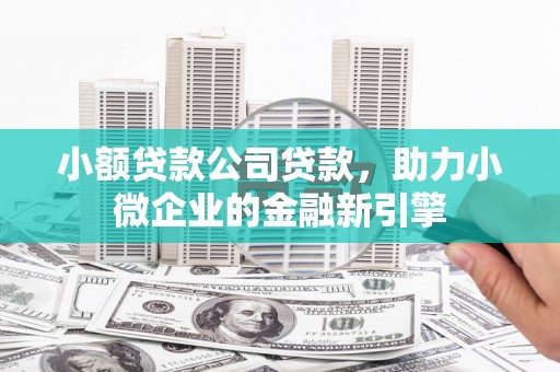 龙山小额贷款公司贷款，助力小微企业的金融新引擎